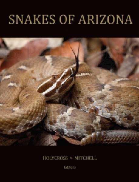 Snakes of Arizona